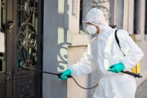 Why Regular Pest Inspections Matter for Property Managers