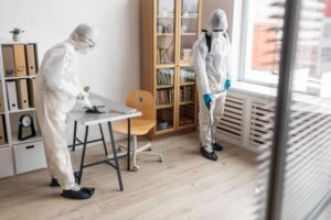 The Dangers of Ignoring Pest Infestations in Commercial Properties