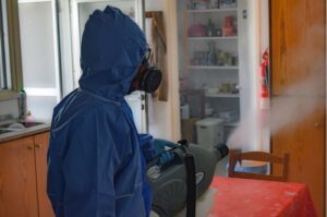 Shared Spaces - Common Pest Challenges for Property Managers