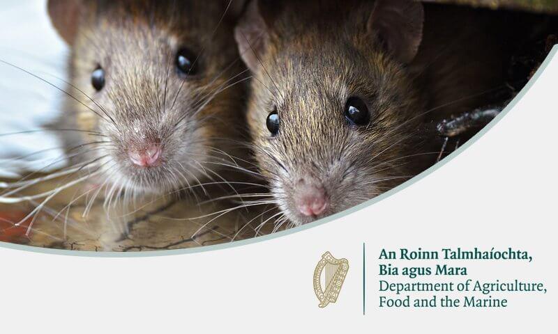Toxic Baiting rules-Owl Pest control Ireland