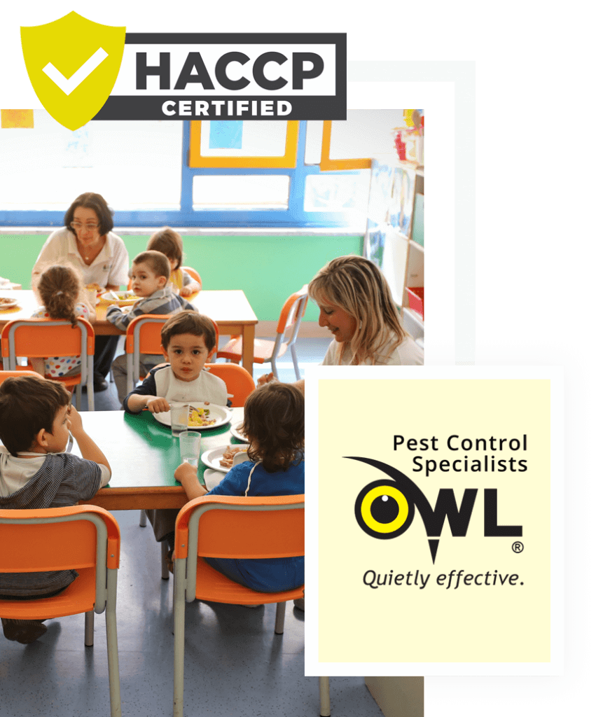 childcare-pest-control-services-Owl Pest control Dublin