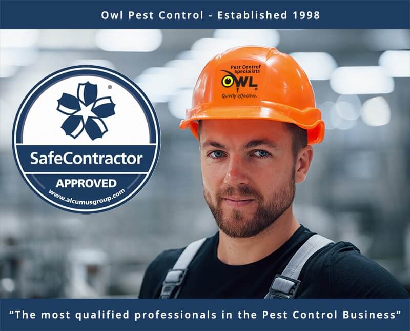 owl-pest-control-technician-safecontractor Owl Pest Control Dublin