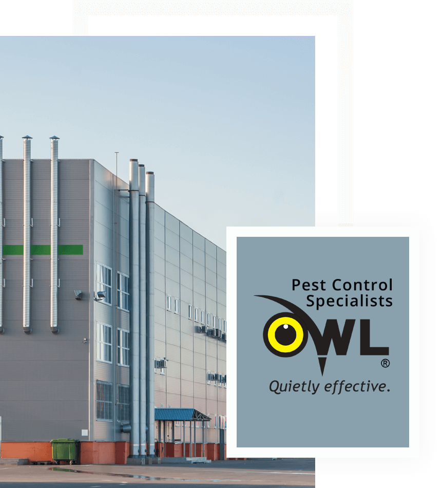 Pest Control for Manufacturing and Storage Facilities | OWl Pest control Dublin