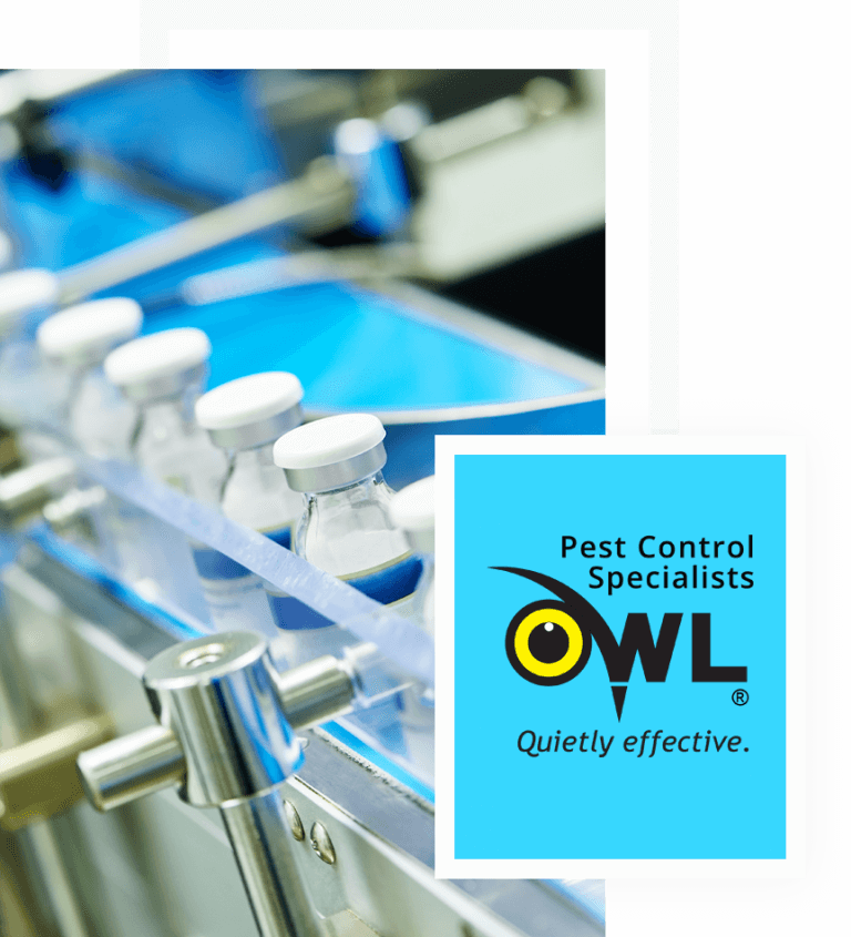 Pest Control Pharmaceutical Dublin Owl Pest Control