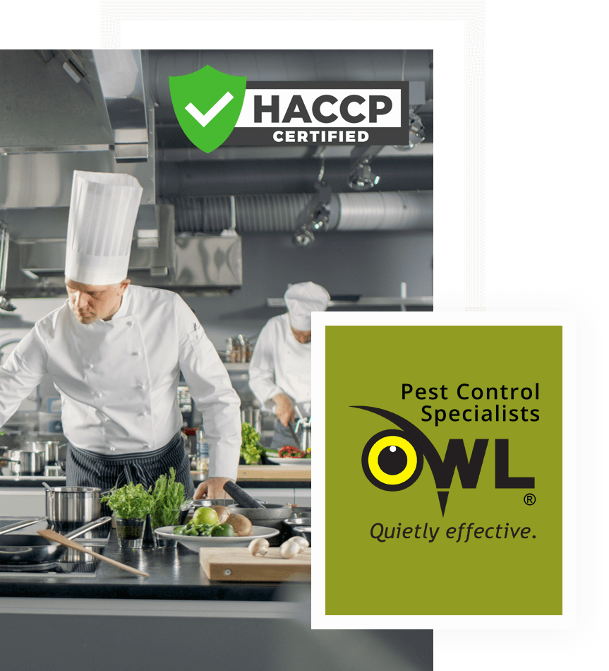 pest-control-services-for-restaurants-Owl Pest Control Dublin