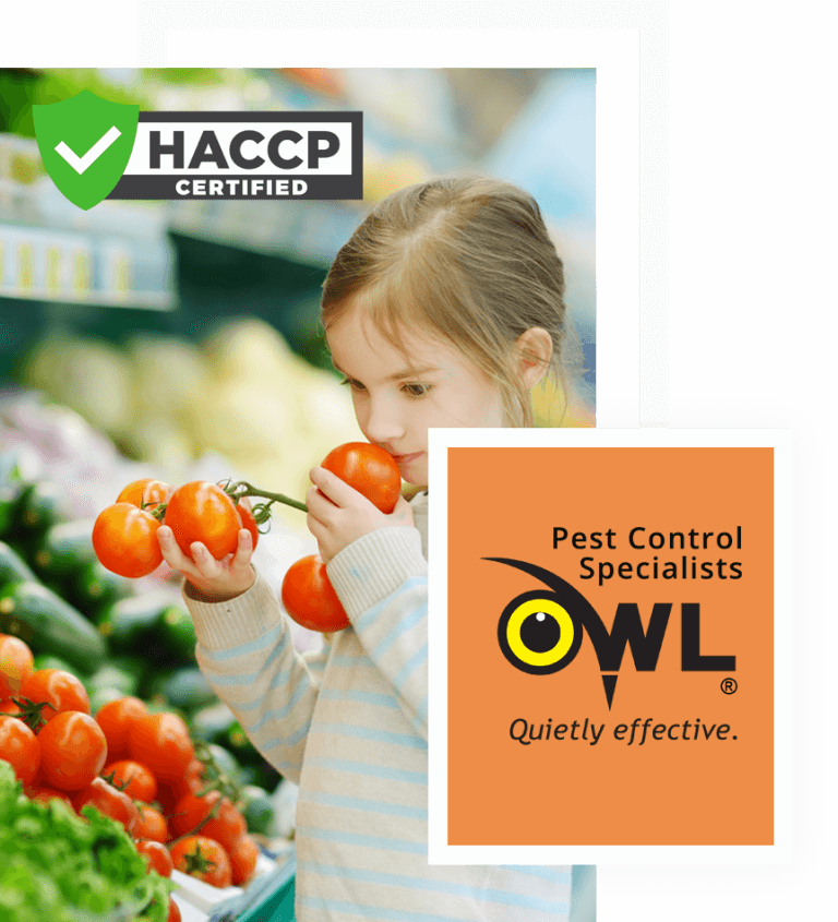 Pest Control for Retail (Food) Owl Pest Control Dublin