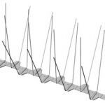 "Medium" Pigeon Spikes