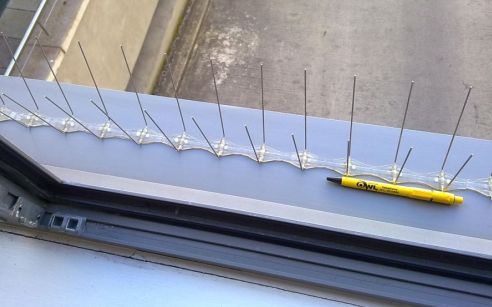 Bird spikes on a window ledge - Owl Pest Control Dublin