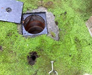 manholes-with-rodent Burrows-Owl Pest Control Ireland