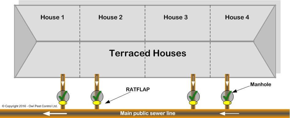 Rat Flap Sewer Installation - Owl pest control Dublin