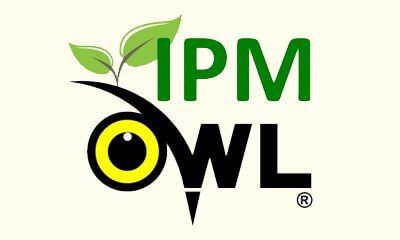 Owl Pest Control Dublin offer integrated pest management solutions