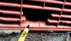 Rat mice access through gnawed air vent - Owl pest control Dublin