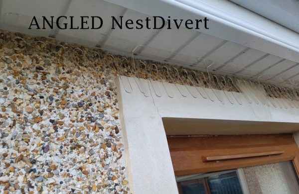 house-martin-swallows-nest-deterrent-angled-nestdivert-2-Owl Pest Control Ireland