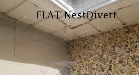 house-martin-swallows-nest-deterrent-flat-nestdivert-2-Owl Pest Control Ireland