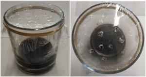 Homemade Fruitfly Trap - Basalmic vinegar and small holes on cling film - Owl pest control Dublin