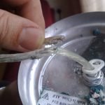 Mouse gnawed ceiling lamp leaving electrical wire exposed (fire hazard)