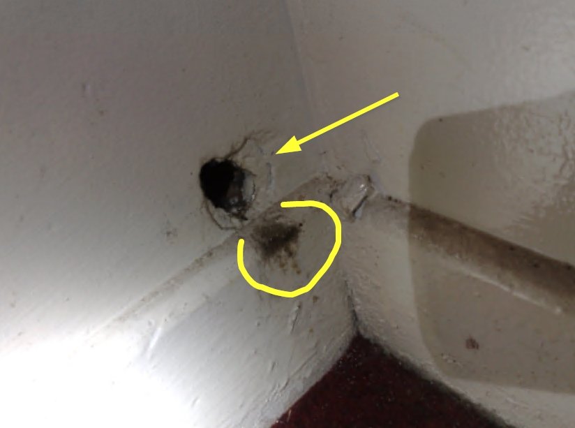 Mice access above skirting board through hole in wall