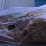 Mice gnawing through pastry plastic wrapping