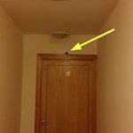 Mouse on door frame in apartment block corridor