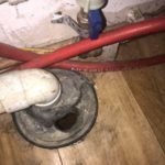 Rat access kitchen via drain pipes cap - Owl pest control Dublin
