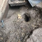 Rat burrow in patio - Owl pest control Dublin