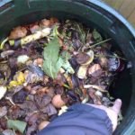 Rat burrow inside compost bin - Owl pest control Dublin