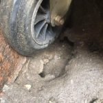 Rat burrow under wheelie bin - Owl pest control Dublin