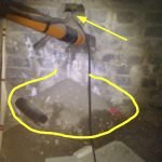 Rat burrowing through building foundations - Owl pest control Dublin