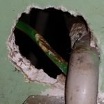 Rat gnawed through wall and wires
