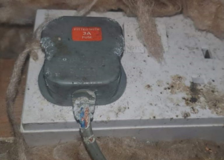 Rat gnawed wire plug in an attic - Owl pest control Dublin