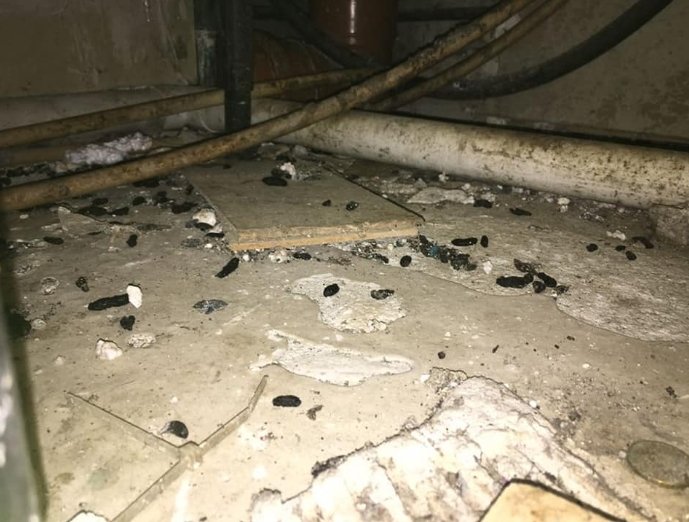 Rat infestation and droppings under kitchen units - Owl pest control Dublin