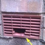 Rat ingress through gnawed air vent - Owl pest control Dublin