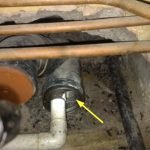 Rat ingress to wall cavities via sewer pipe - Owl pest control Dublin