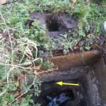 Rats burrowed from manhole to ground - Owl pest control Dublin