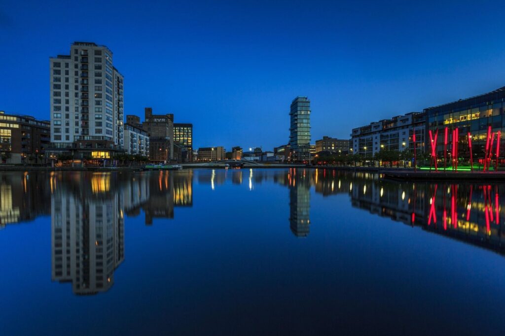 The Rising Problem of Rodents in Dublin City Centre_ Causes and Solutions