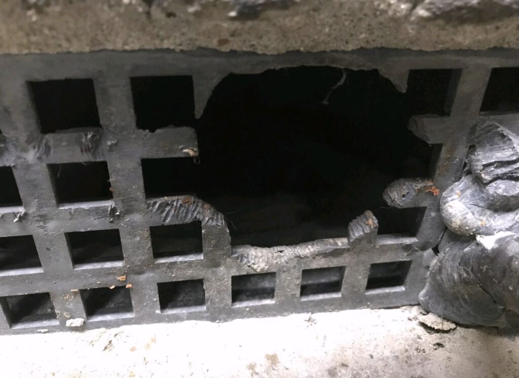The Ultimate Guide to Pest-Proofing Your Business Before Winter