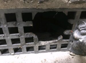 The Ultimate Guide to Pest-Proofing Your Business Before Winter