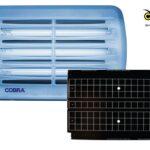 BRANDENBURG Fly Killer Glue Board Replacement (x10)