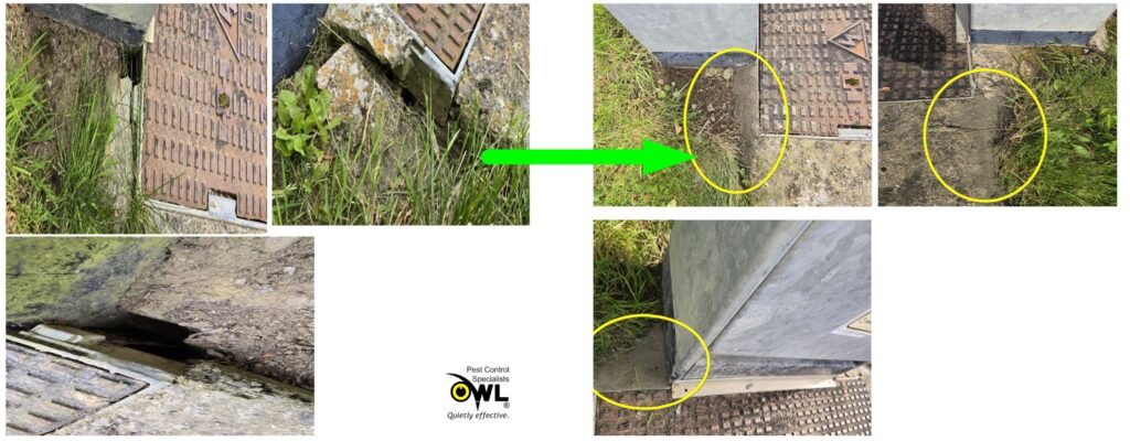 Broken manhole frame repaired (rodent access) 01