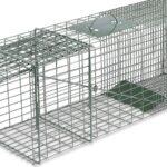 Fox Dog Cage Trap