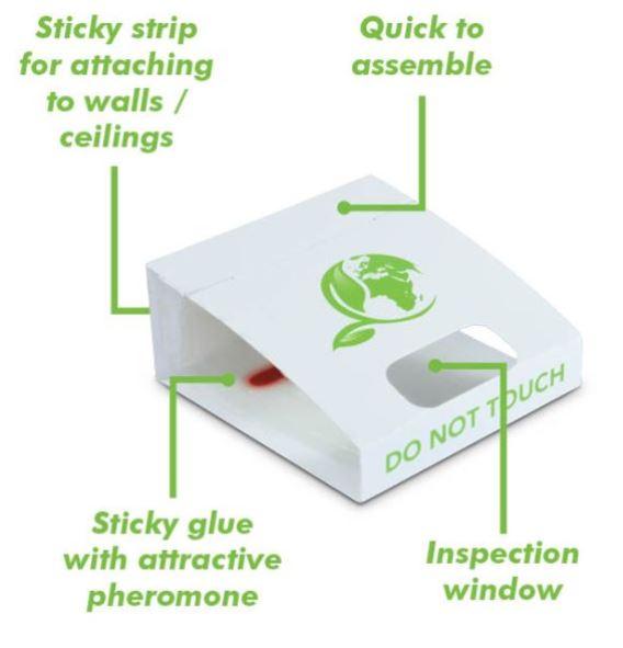 Insect Monitor pheromone trap 1