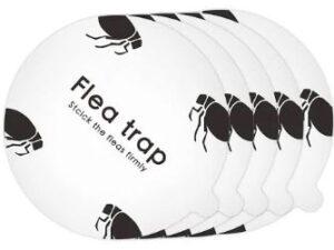 Flea-Trap-Refill-Discs-x5
