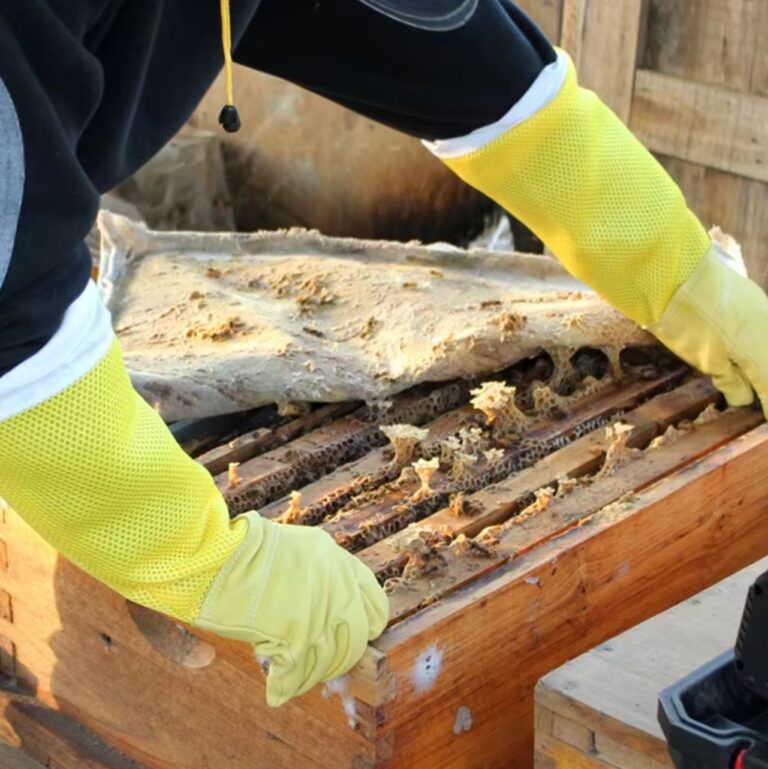Leather Beekeeper Gloves Ventilated -5