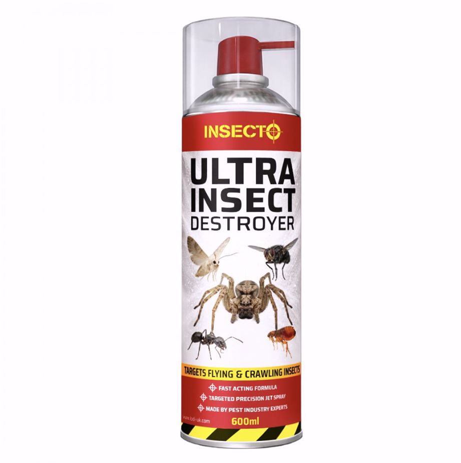 Insecto Ultra Insect Killer 600ml (sq)