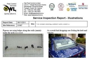 Owl Pest Control Report Illustrations