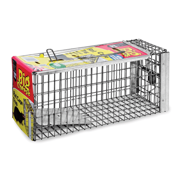 rat cage trap live