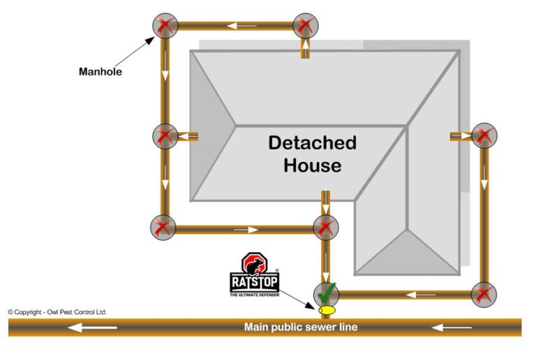 Ratstop-Sewer-Rat-Blocker-Valve-Flap-02