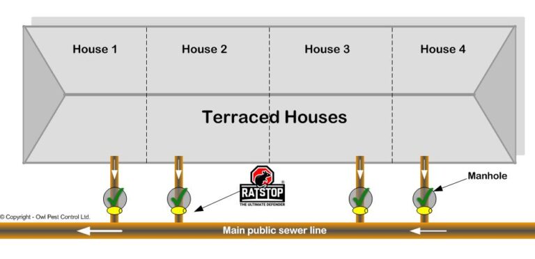 Ratstop-Sewer-Rat-Blocker-Valve-Flap-04