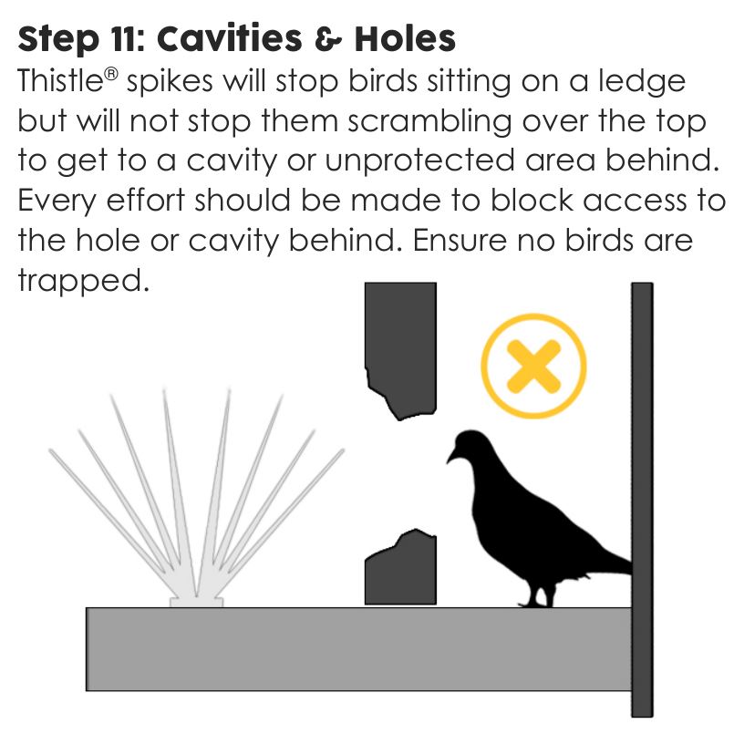 Thistle small bird spikes installation step 11