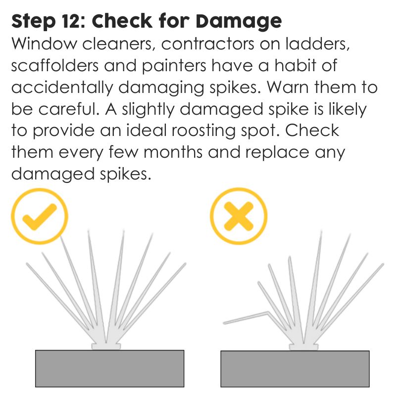 Thistle small bird spikes installation step 12